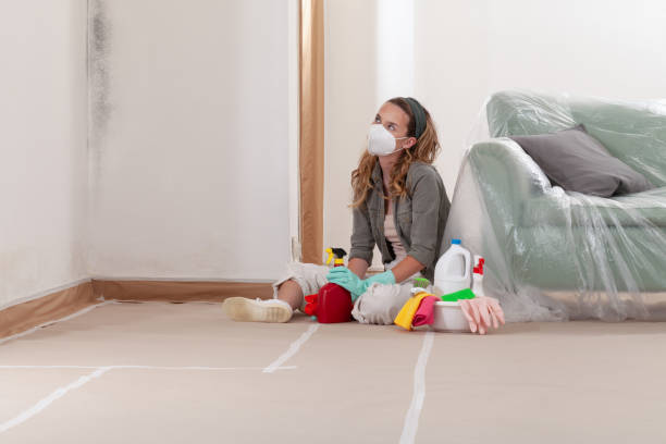 Reliable Black Mold Remediation contractor in Greenville, MI by Car Mold Remediation
